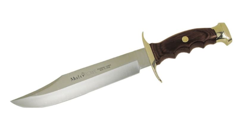 Bowie Muela  Scout